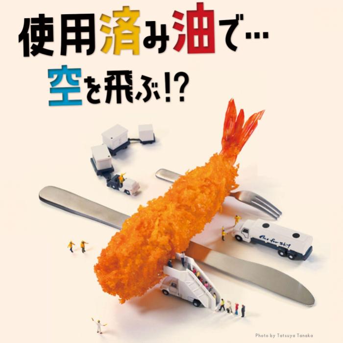 Fry to Fly-san